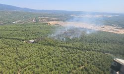 Buca’daki orman yangını kontrol altına alındı