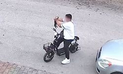 Bolu'da v*hşet! Yavru kediyi önce öptü sonra boğdu
