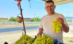 Yol üzerinde dalından sofraya