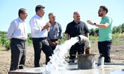 Üzüm ve zeytin için hayati sondaj