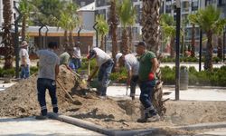 Muradiye'de yeşil dönüşüm