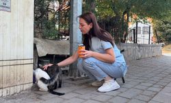 Kütahya'da kedi v*hş*ti: Başını ve ayaklarını kesip apartmanın önüne bıraktılar
