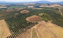 Anadolu’nun dev piramitleri zamana meydan okuyor
