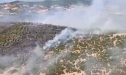 Gördes’teki orman yangını 4 saatte kontrol altına alındı