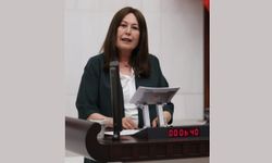 İYİ Partili Sunat'tan kömür kentleri için "adil dönüşüm" çağrısı