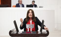 Şenol Sunat: “Üzümde hasat başladı, fiyat nerede?”