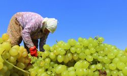 Kuru Üzüm fiyatı 80 TL olarak belirlendi
