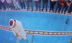 Camide kediyi tekmeleyen şahıs için başsavcılık harekete geçti, gözaltına alındı