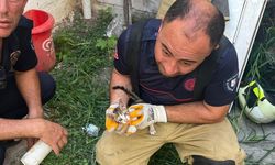 İki bina arasına sıkışan yavru kedi kurtarıldı