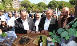 Bağ Bozumu Şenliği Manisalılardan tam not aldı