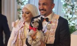 Düğünde altın yerine köpek taktı