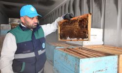 Manisa’da arıcıların peteklerine eksi 30 derecelik koruma