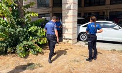 Esnafın beslediği kedi bacakları kesilmiş halde bulundu