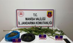 Manisa’da uyuşturucu operasyonu: 1 kişi tutuklandı