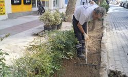 Şehzadeler’de parklar dört mevsim bakımlı tutuluyor