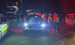 Domuza çarpmamak için manevra yaptı, takla attı