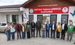 Sokak hayvanları için Ferdi Zeyrek Vakfı ve Belediyeden ortak ses