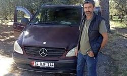 Zeytin toplarken arı tarafından sokulan 3 çocuk babası hayatın kaybetti