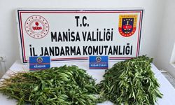 Manisa’da *y*şt*r*c* operasyonları: 3 tutuklama