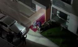 Binaya giren yaban domuzu, polis operasyonuyla etkisiz hale getirildi