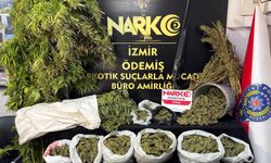 İzmir polisinden uyuşturucu baskınları: 7 kilo esrar ve binlerce hap ele geçirildi