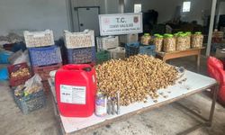 Lavabo açıcıyla incirleri beyazlatmışlar