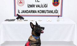 İzmir'de jandarmadan *y*şt*r*c* operasyonu