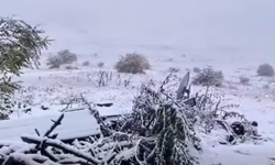 Demirci'nin yüksek kesimleri kara büründü