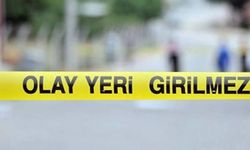 Zeytin tarlasında acı son!  70 yaşındaki kadın hayatını kaybetti