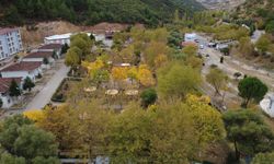 Manisa’da sonbahar manzarası büyüledi!