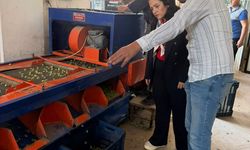 İYİ Parti'den zeytinciye destek çağrısı