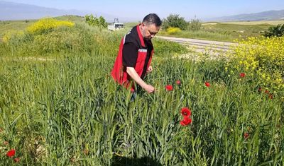 Sarıgöl'de huhubatta verim için ekipler sahada