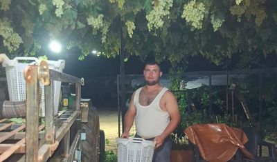 Sarıgöl’de üzüm için gece mesaisi