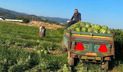 Sarıgöllü üreticiden "Kendi üret, kendi sat" hamlesi