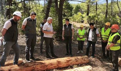Soma ormanlarında yangın riskine karşı yoğun çalışma