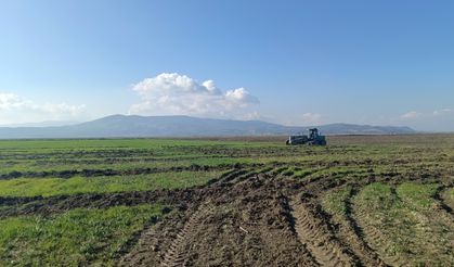 Marmara Gölü'ndeki izinsiz ekili alanlara müdahale