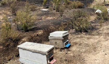 Turgutlu'da kırsal alanda çıkan yangın ormanlık alana sıçramadan söndürüldü