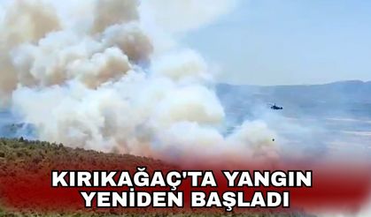 Kırıkağaç'ta yangın yeniden başladı