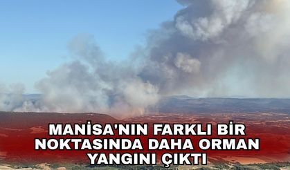 Manisa'nın farklı bir noktasında daha orman yangını çıktı