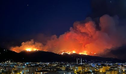 Türkiye genelindeki 65 orman yangınıyla ilgili 10 kişi tutuklandı