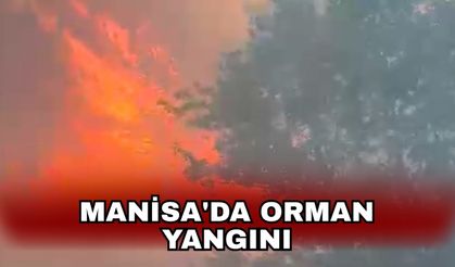 Manisa'da orman yangını