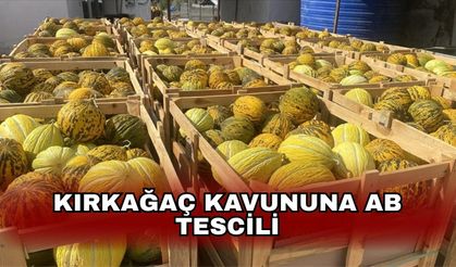 Kırkağaç Kavununa AB tescili