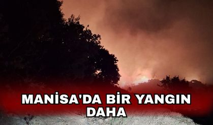 Manisa'da bir yangın daha