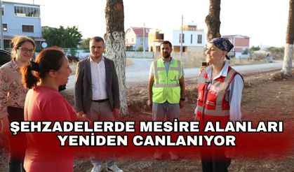 Şehzadelerde Mesire alanları yeniden canlanıyor