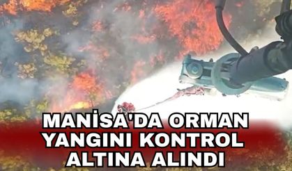 Manisa'da orman yangını kontrol altına alındı