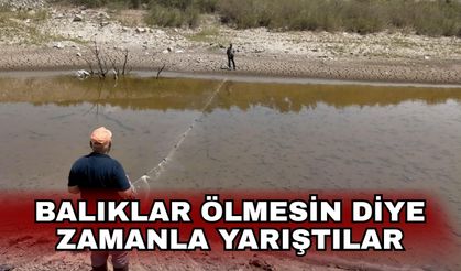 Balıklar ölmesin diye zamanla yarıştılar