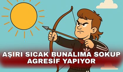Aşırı sıcak bunalıma sokup agresif yapıyor
