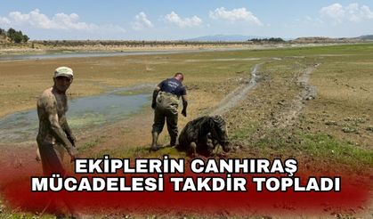 Ekiplerin canhıraş mücadelesi takdir topladı