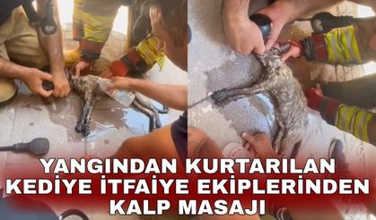 Yangından kurtarılan kediye itfaiye ekiplerinden kalp masajı