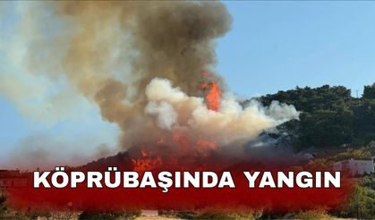 Köprübaşında yangın